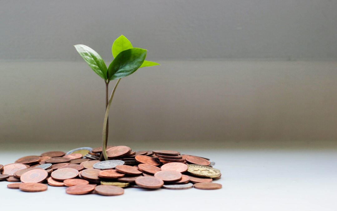 ROI of eCom vs OMS